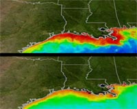 Summer Storms Could Mean More Dead Zones