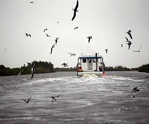 Along US Gulf coast, a new meaning for barrier island