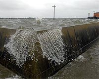 Did Termites Help Katrina Destroy New Orleans Floodwalls