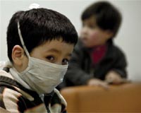 Nasal vaccine developed for swine flu