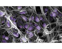 Carbon-nanotube tool for ultra-sensitive virus detection and identification