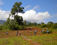 Haiti farmers spared hunger by timely aid