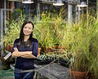 Dry conditions may have helped a new type of plant gain a foothold on Earth