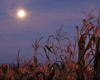 Year's final supermoon is a Harvest Moon