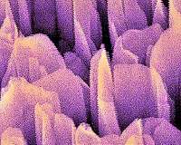 Finding the right balance for catalysts in the hydrogen evolution reaction