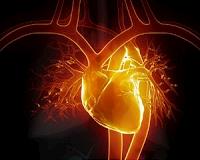 Building a smart cardiac patch