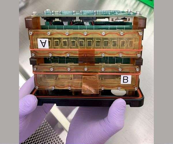 Oxford space lab sends first human tissue samples to ISS for ageing study