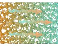 From crystals to glasses: a new unified theory for heat transport