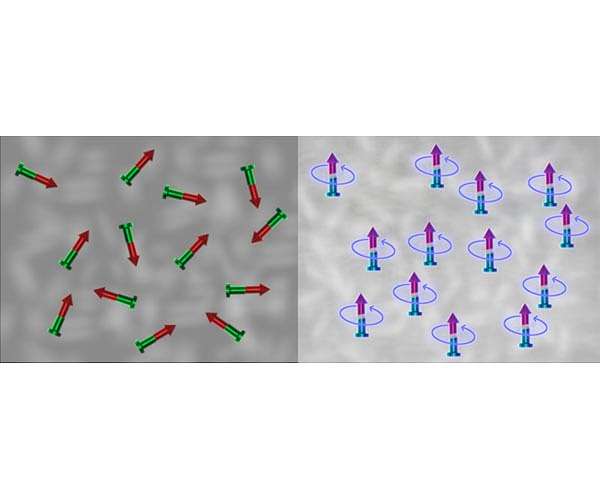 Programmable interaction between quantum magnets