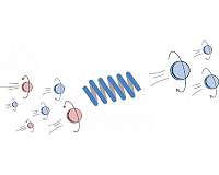Theoretical model may help solve molecular mystery