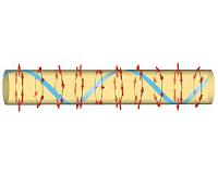 Helical electron and nuclear spin order in quantum wires