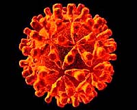 Uganda hepatitis epidemic toll rises to 110