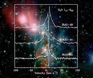 Herschel's HIFI Follows The Trail Of Cosmic Water