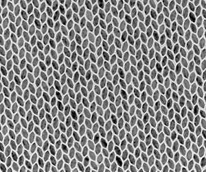 Nano-breakthrough: Solving the case of the herringbone crystal