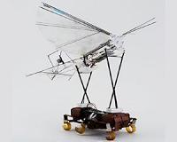 Robotic bird takes flight from back of robot roach