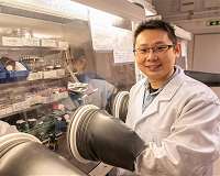 Stable perovskite LEDs one step closer