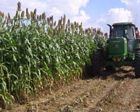 DOE Awards FDC Enterprises Funding For Cellulosic Ethanol Feedstock Delivery System Development