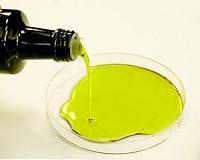 Oil composition boost makes hemp a cooking contender