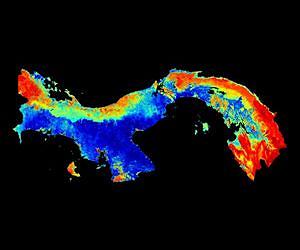 First high-resolution national carbon map - Panama