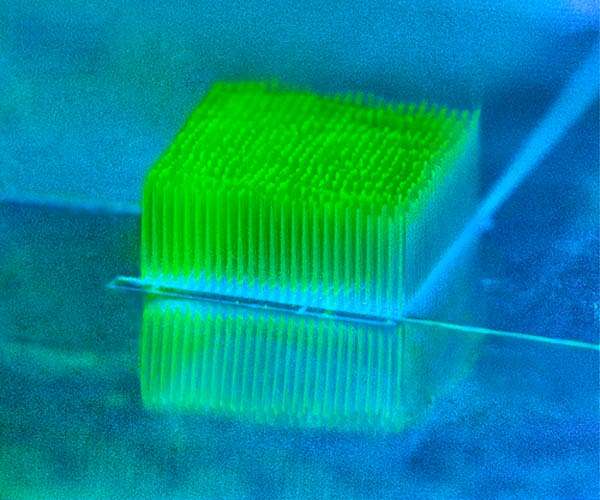 Tiny skyscrapers help bacteria convert sunlight into electricity