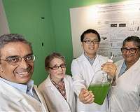 Researchers engineer bacteria to create fertilizer out of thin air