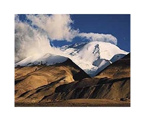 Nepal 'Himalayan Viagra' harvest droops to record low