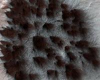 A Starburst Spider On Mars