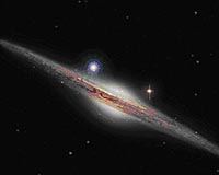 XMM-Newton Discovers A New Class Of Black Holes