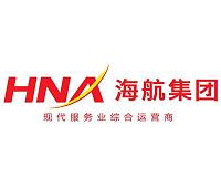 Goldman Sachs halts advising work on HNA unit: source
