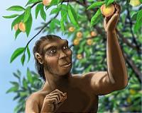 First fossil peaches discovered in southwest China