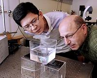 Discovery suggests surprising uses for common bubbles