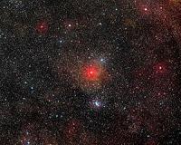 VLT spots largest yellow hypergiant star