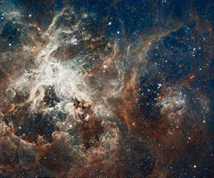 Hubble's panoramic view of a turbulent star-making region