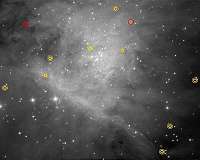Hubble finds substellar objects in the Orion Nebula