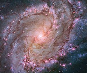 Hubble Views Stellar Genesis in the Southern Pinwheel
