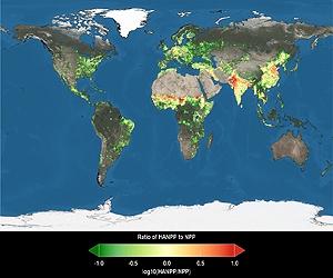 Plant Consumption Rising Significantly As Population And Economies Grow