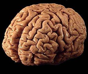 Fusion plasma research helps neurologists to hear above the noise