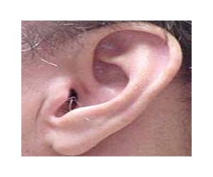 A firm molecular handshake needed for hearing and balance