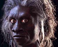Scientists rebut finding of 'Hobbit' bones