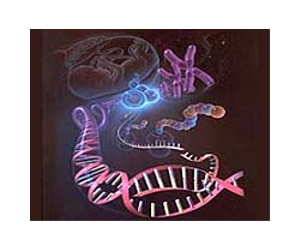 New elegant technique used for genomic archaeology