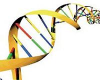 New genome-editing platform significantly increases accuracy of CRISPR-based systems