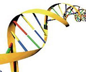 BGI demonstrated genomic data transfer at nearly 10GB per second between US and China