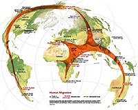 Australia Discovered By The Southern Route
