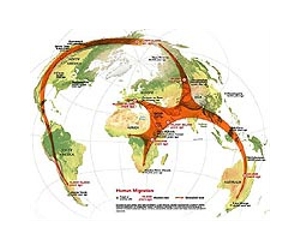 Ancient toolkit offers new clues to humans' journey