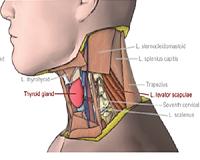 New app gives throat cancer patients their voice back