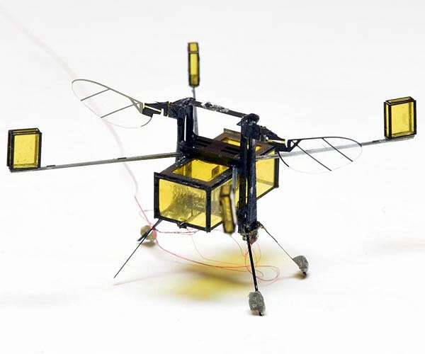 RoboBee gains insect-inspired legs for stable landings