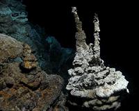 Scripps-led team discovers 4 new deep-sea worm species