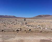Life on the rocks helps scientists understand how to survive in extreme environments