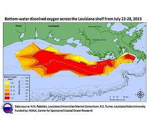 NOAA-supported scientists find large Gulf dead zone, but smaller than predicted