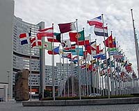 Iran, Syria seeking seat on IAEA board: diplomats